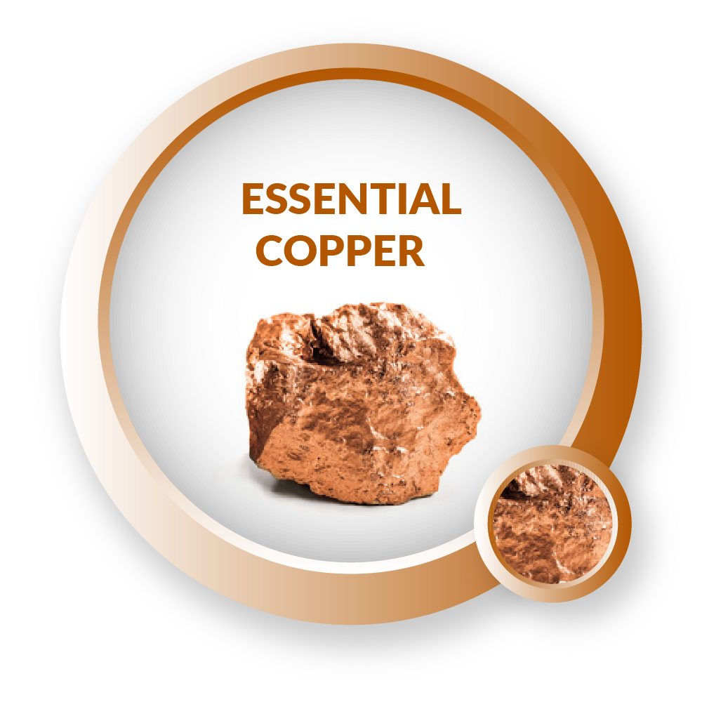 Essential Copper | Sizwe Hosmed Medical Scheme | South Africa